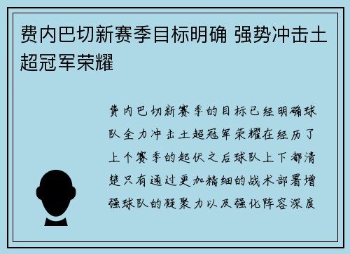 费内巴切新赛季目标明确 强势冲击土超冠军荣耀